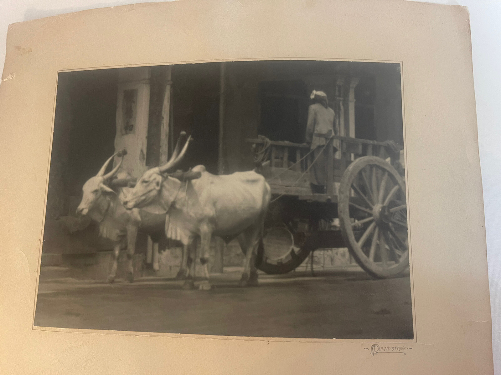 ￼￼Patience: Photo Was Taken In Singapore By George C. Poundstone. ￼Size 10 X 14”