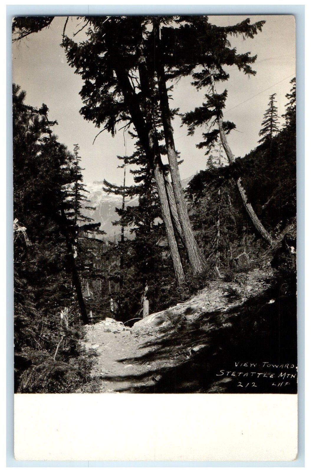 c1910\'s View Towards Stetattle Minnesota MN Marblemount WA RPPC Photo Postcard
