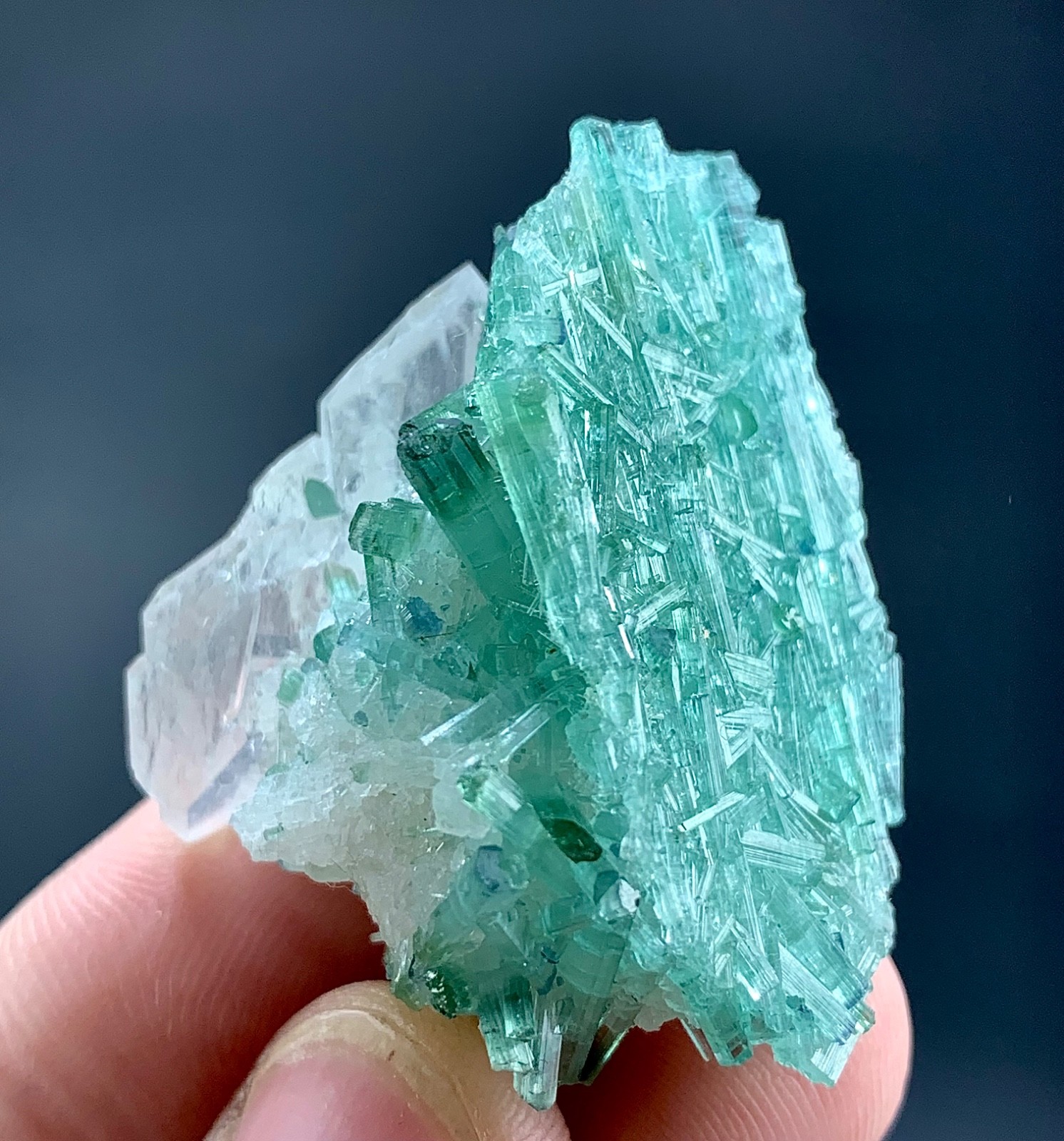 81 CTs Natural Paraiba Tourmaline Cluster With Quartz specimen from Afghanistan