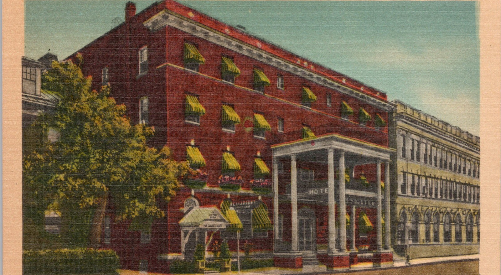 Postcard Winchester Virginia The Hotel Jack