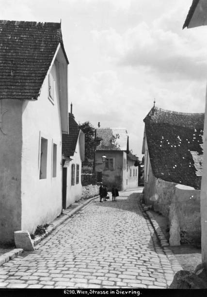 Sieveringer street in Vienna 19 About 1910 OLD PHOTO