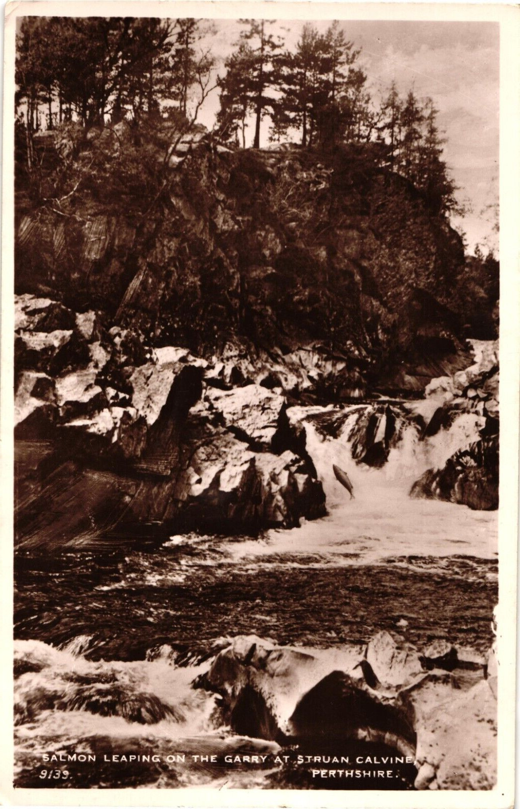 Salmon Leaping River Garry Struan Calvine Scotland RPPC Photo Postcard 1930s-40s