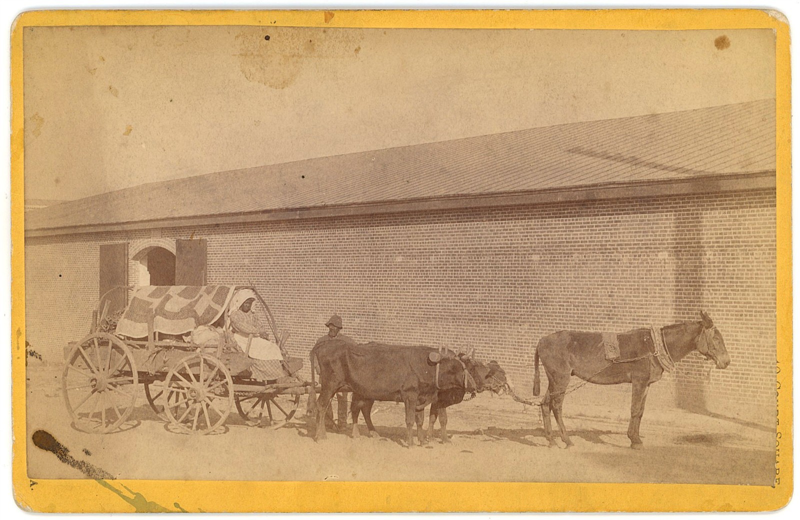 ALABAMA CABINET PHOTO - Black Family & Ox Wagon - SP Tresslar 1880s RARE