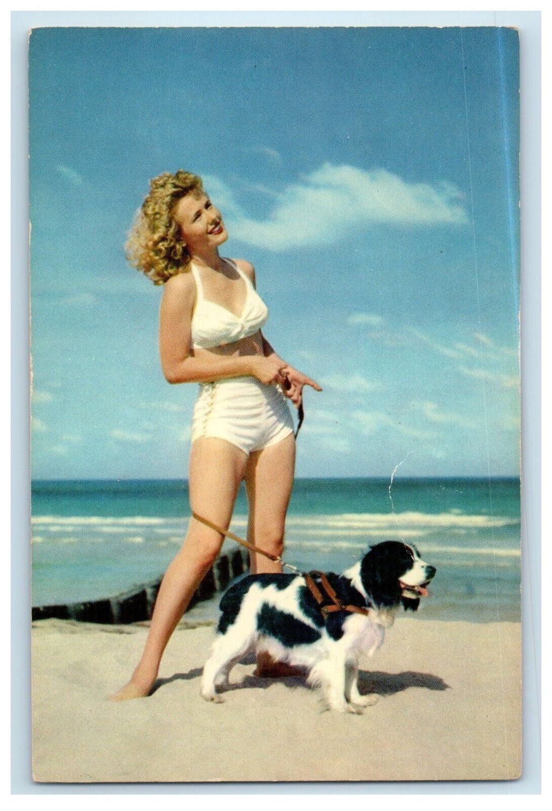 c1950\'s Sexy Girl And Paddle Dog Strolling On The Beach Vintage Postcard