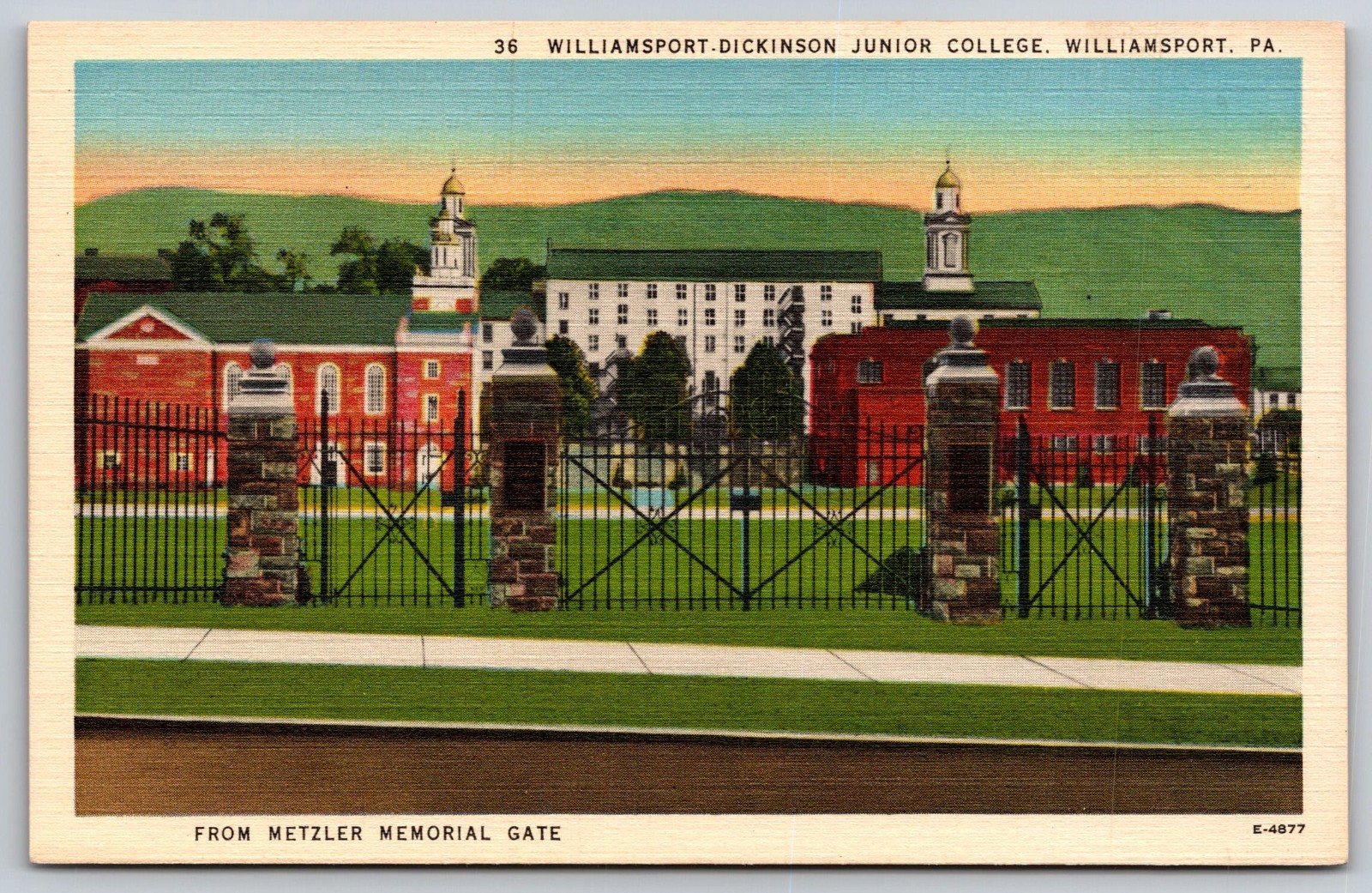 Williamsport-Dickinson Junior College  Williamsport PA Postcard