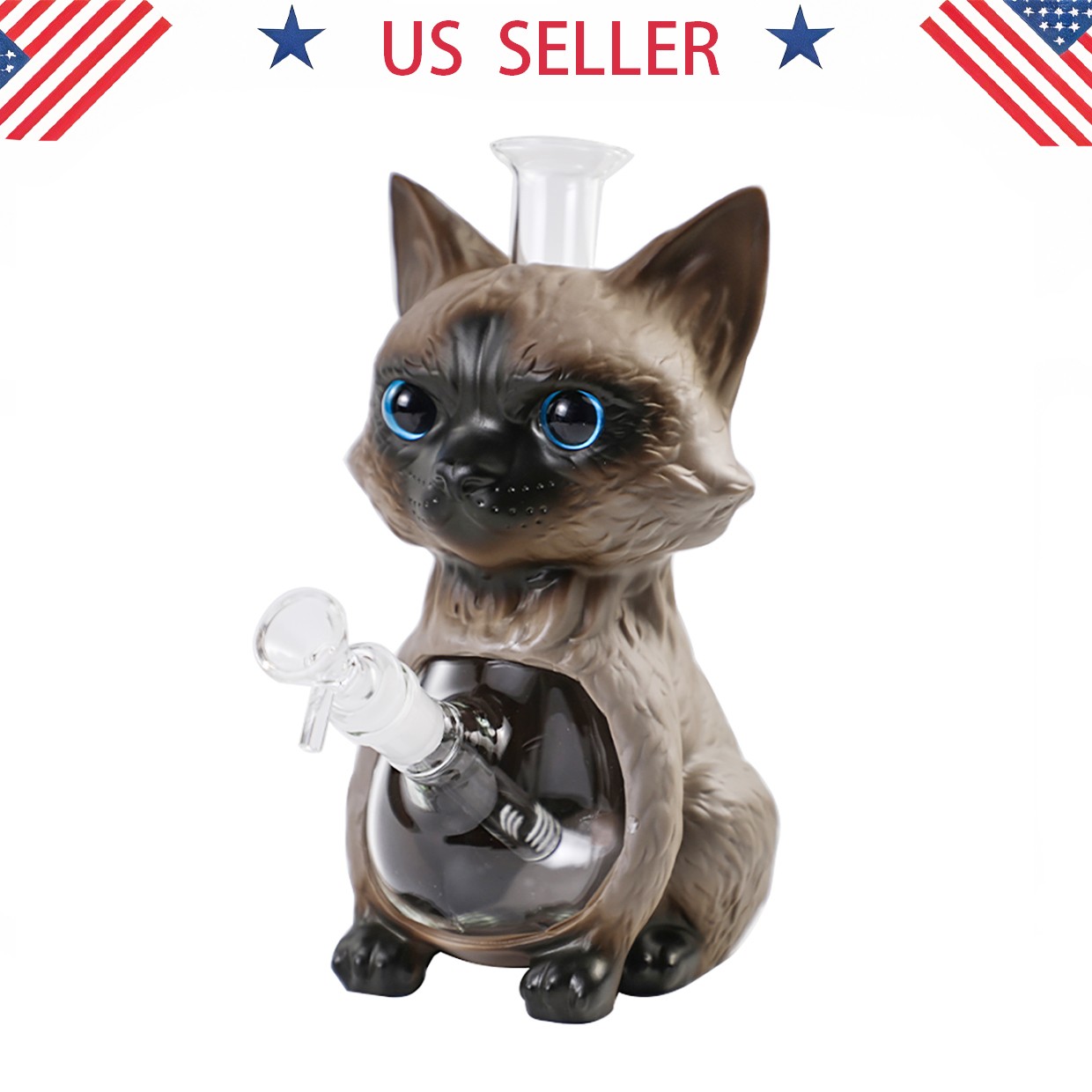 Siamese cat 9