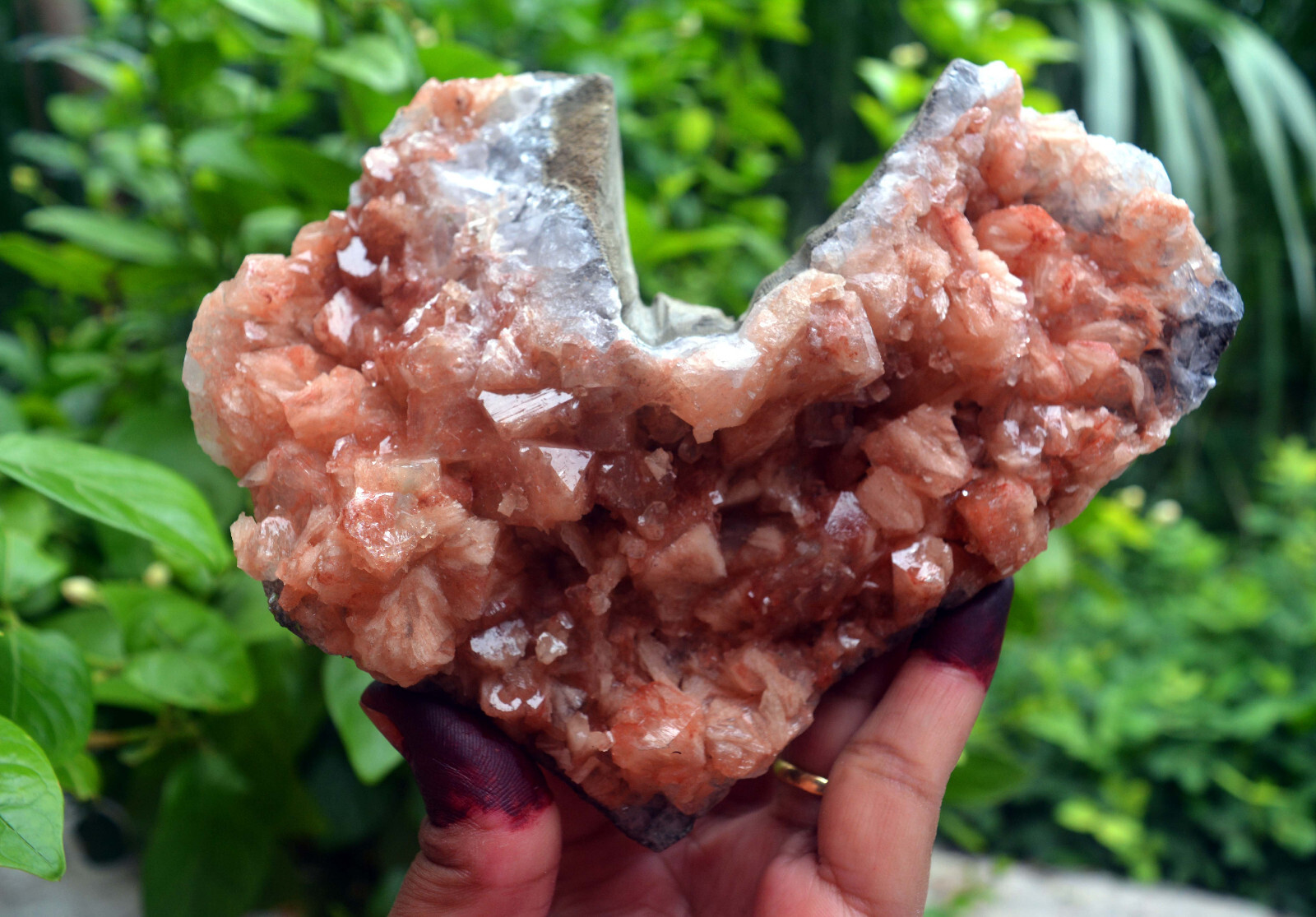 marshy apophyllite crystals & matrix minerals specimen o-10