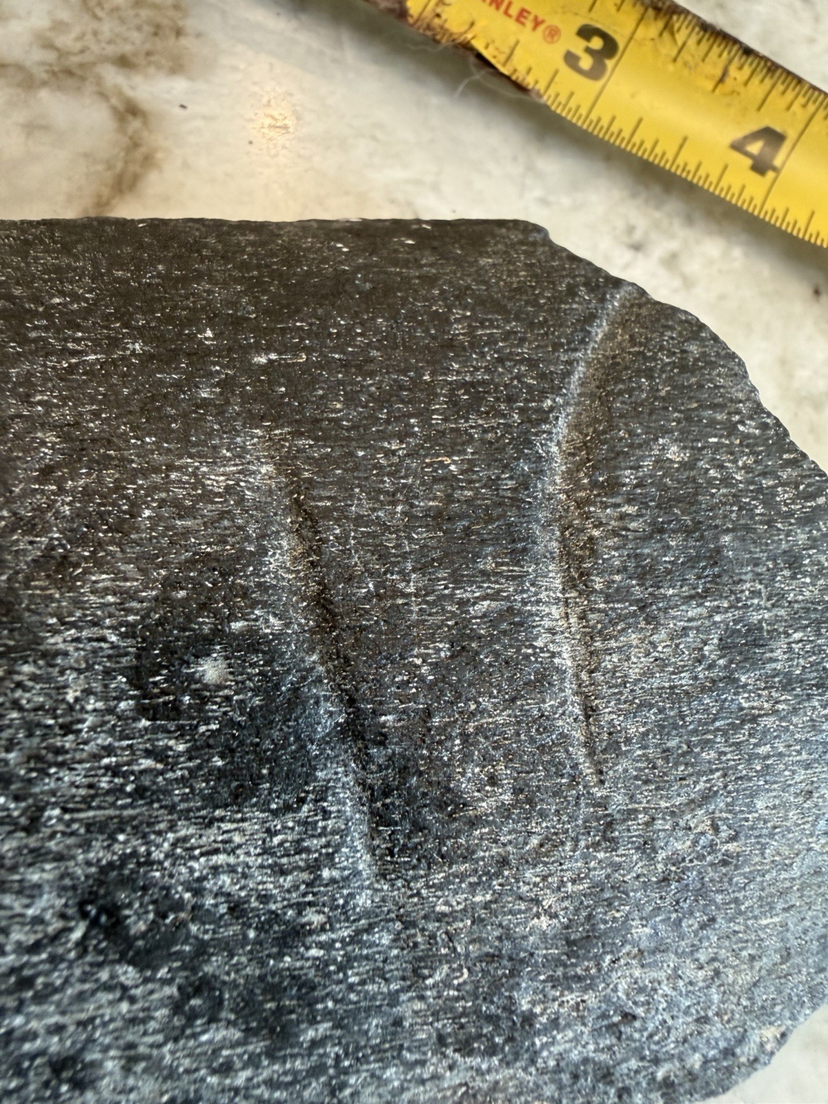 WHALE RIB BONE FOSSIL WITH PREDATION BITE MARKS FOSSIL - POSSIBLE MEGALODON BITE