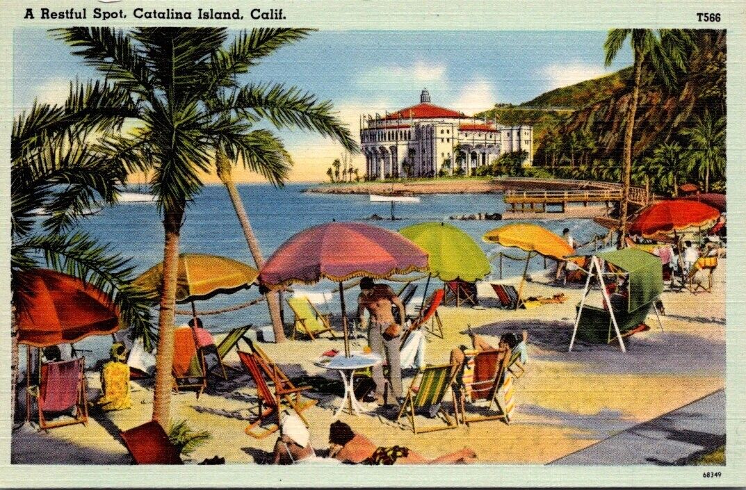 Descanso Beach Santa Catalina Island California CA Umbrellas Palms Postcard UNP