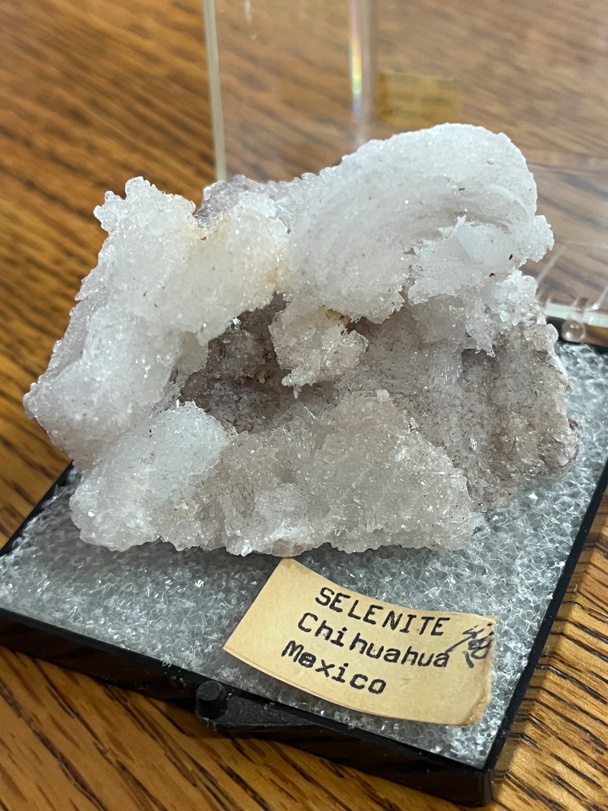 GYPSUM VAR. SELENITE (RAM'S HORN)  CHIHUAHUA, MEXICO