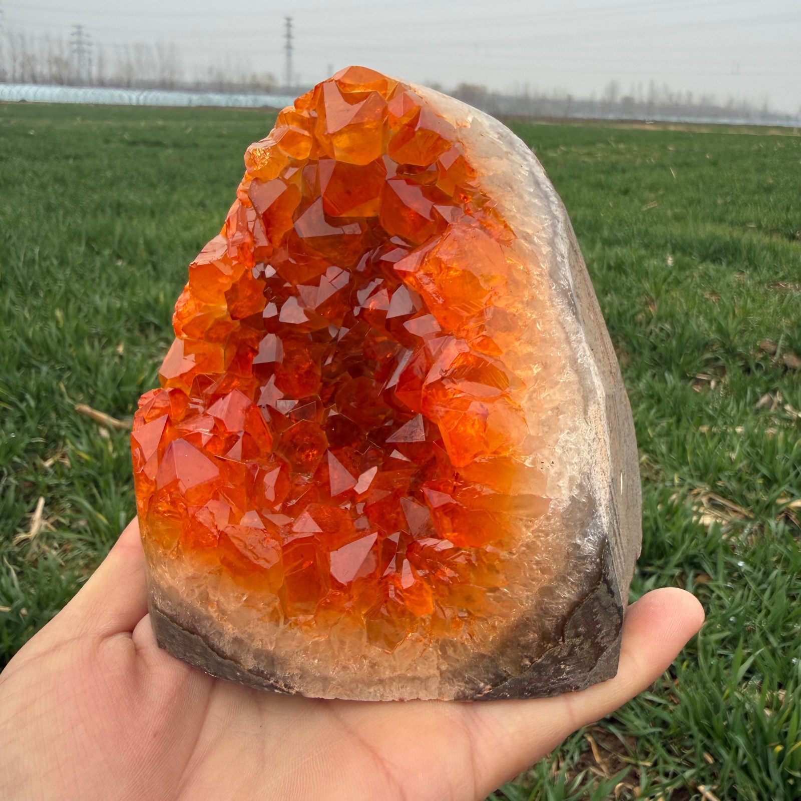 3LB  citrine geode quartz cluster crystal specimen Healing random 1pc