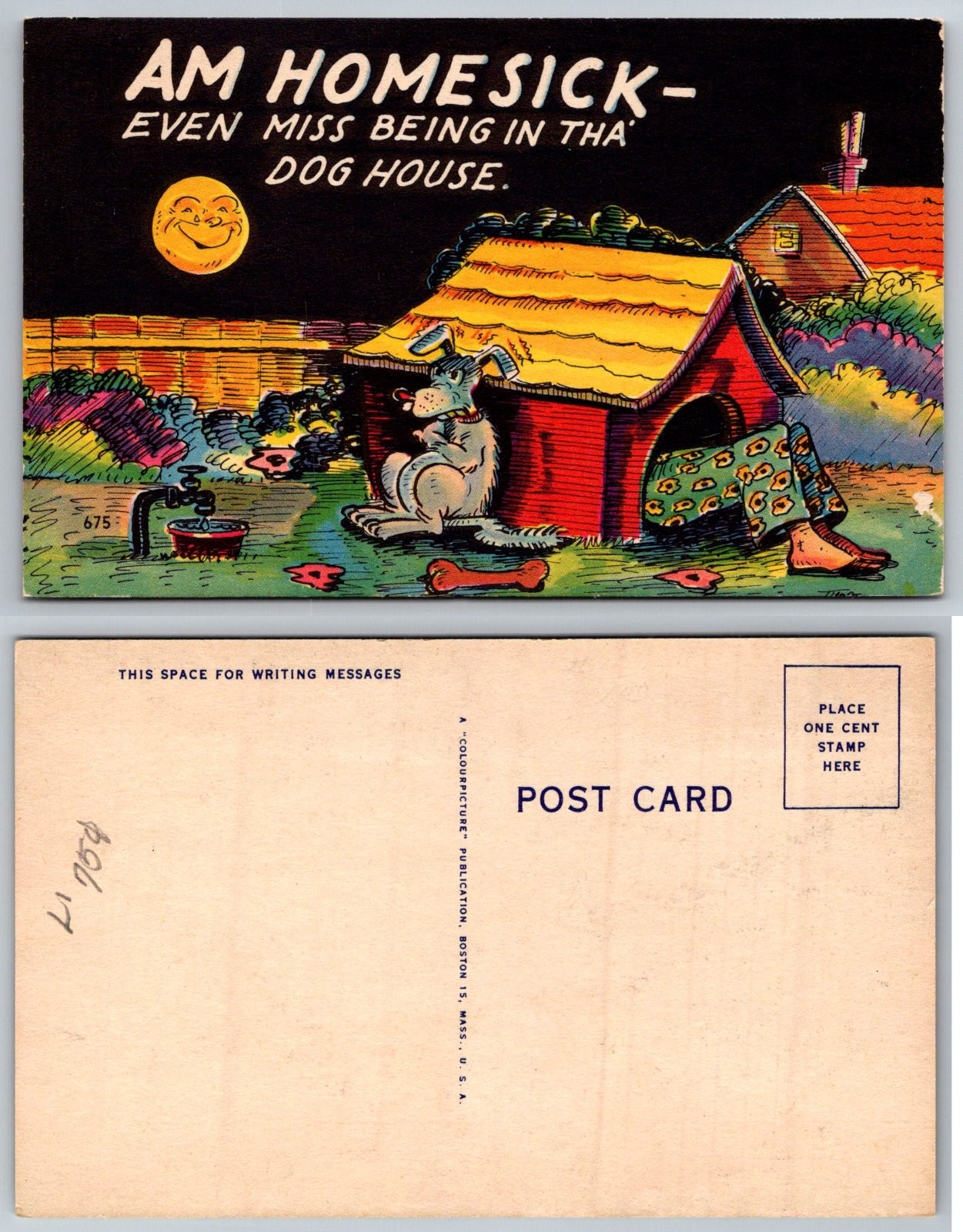Am Homesick Even Miss Being In Tha\' Dog House Comic Dog Postcard