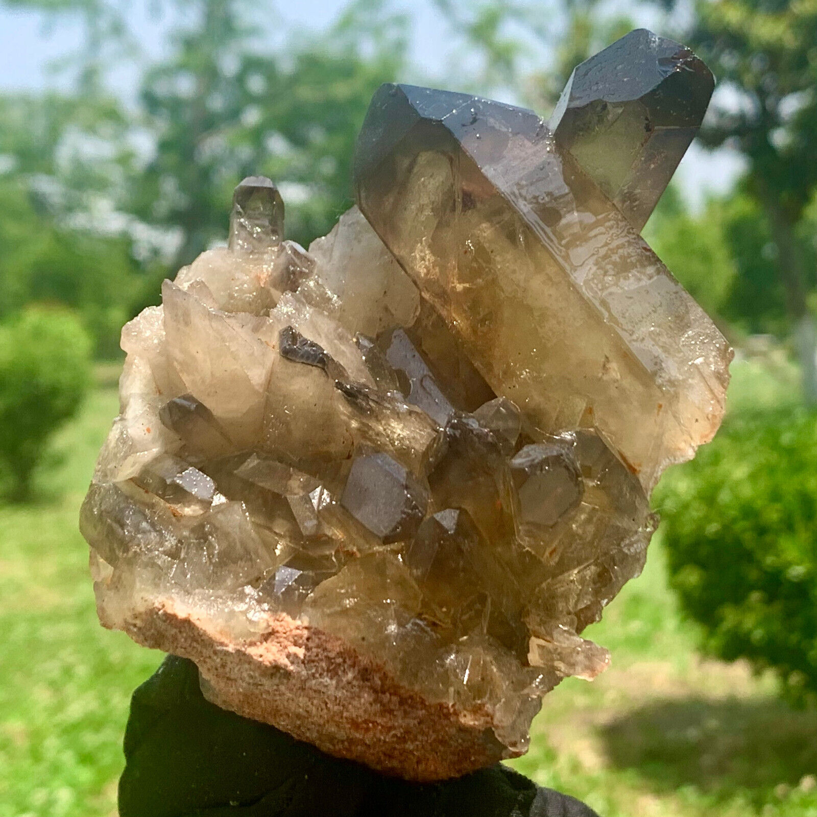 308G  Natural Himalayan Black Smoked Crystal Meditation Energy Crystal cluster