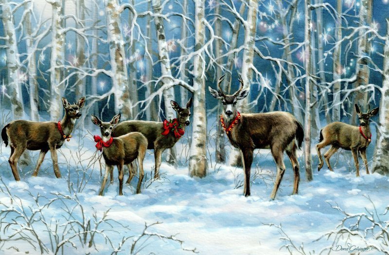 16 Boxed Embossed Christmas Cards Columbian & Sirka  Blacktail Deer