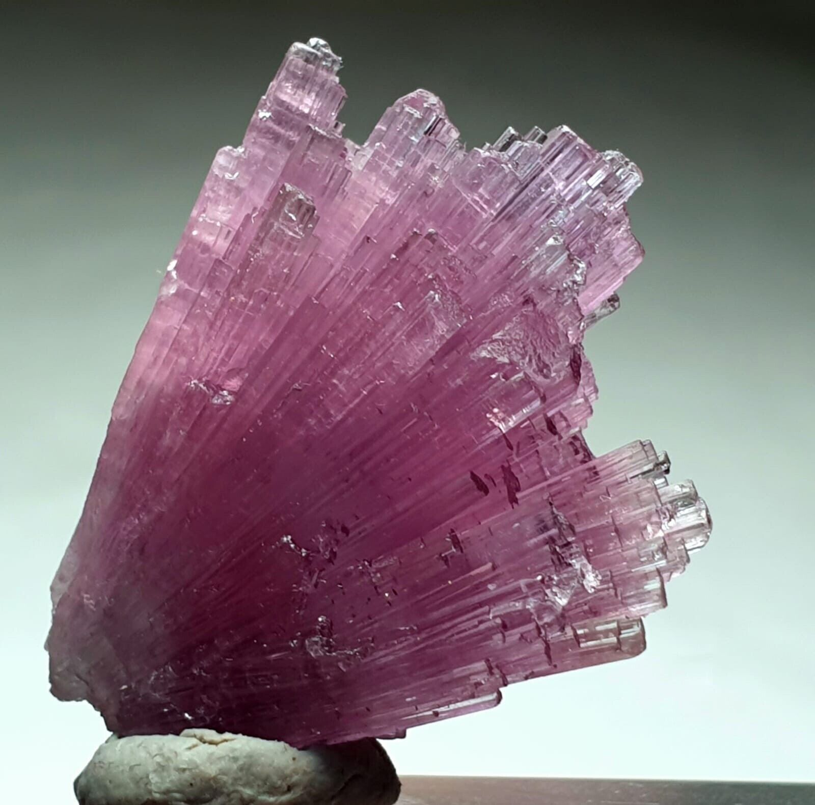 An Incredible Terminated Tourmaline Bunch From Afghanistan Mine Damage Free