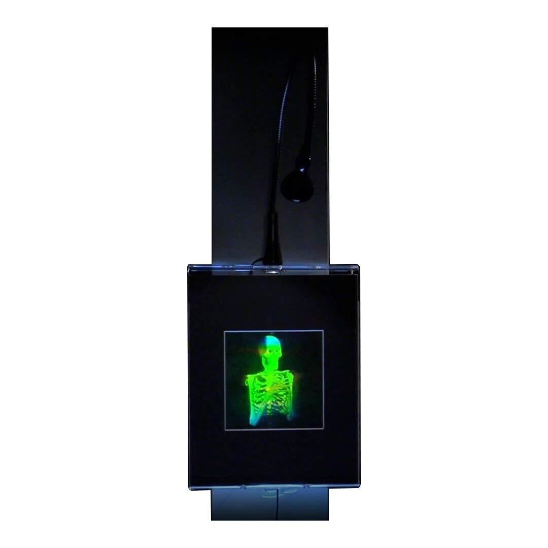 3D Skeleton 2-Channel Hologram Picture LIGHTED WALL MOUNT, EMBOSSED Type Film
