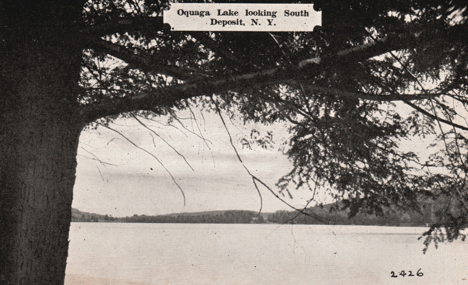 Oquaga Lake Looking South  Deposit New York Smith\'s Pub Vintage Postcard 1930\'s