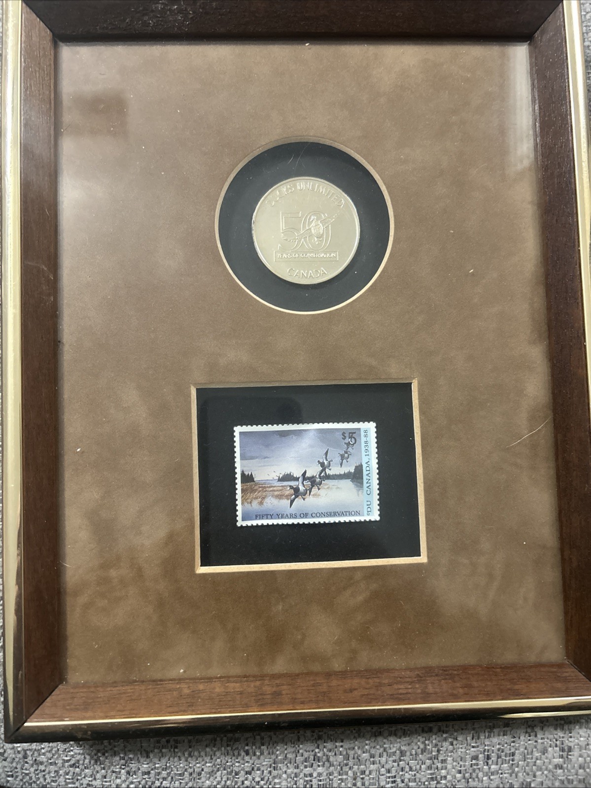 Vtg 1988 Ducks Unlimited Canada 50th Anniversary Framed Coin & Stamp Set 8x10