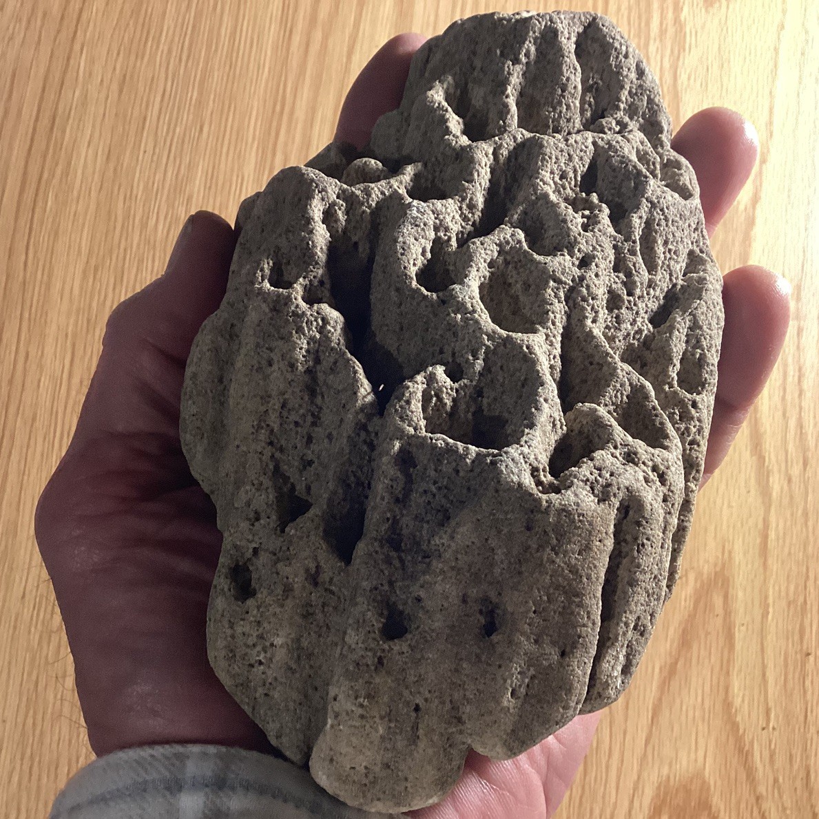 Large  3 Lb. Holey Hag Stone Lk. Michigan Surf Tumbled Magic Fairy Wishing Stone