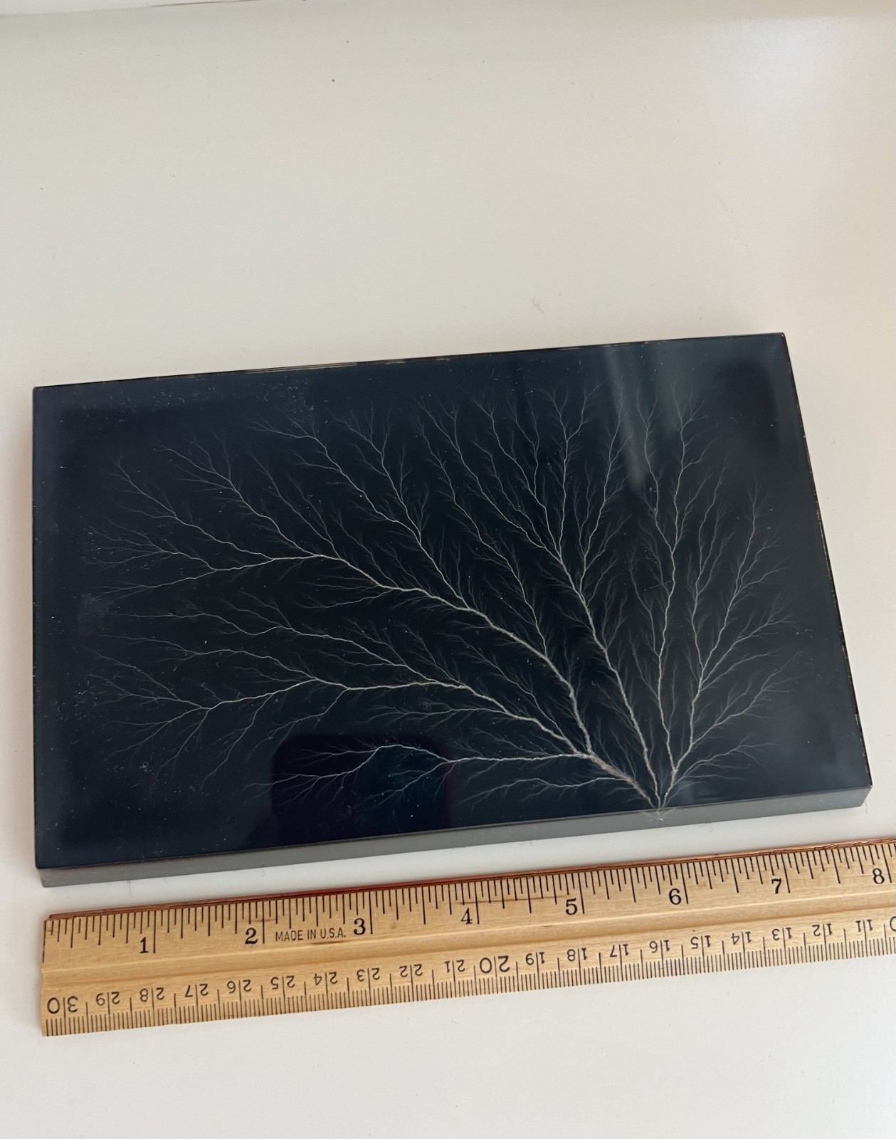Vintage 1974 Lichtenberg Figure Acrylic Electrical Discharge Lightning Specimen Vintage 1974 Lichtenberg Figure Acrylic Electrical Discharge Lightning Specimen