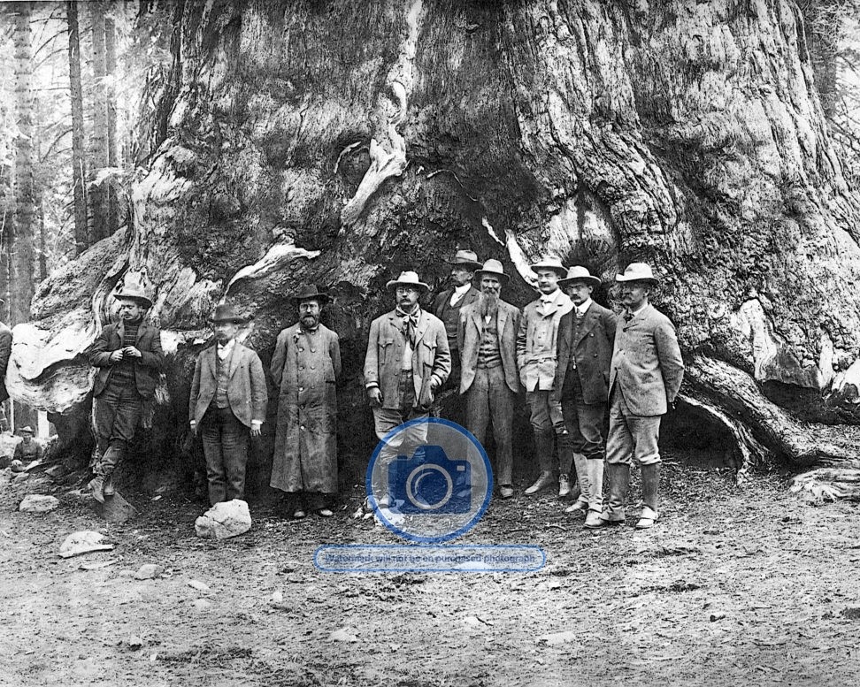 PRESIDENT THEODORE TEDDY ROOSEVELT AND JOHN MUIR 8X10 PHOTOGRAPH