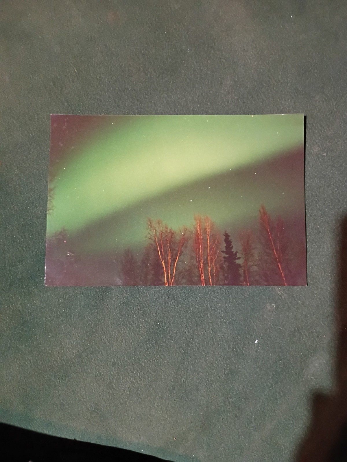Northern Lights Photo 12/31/93