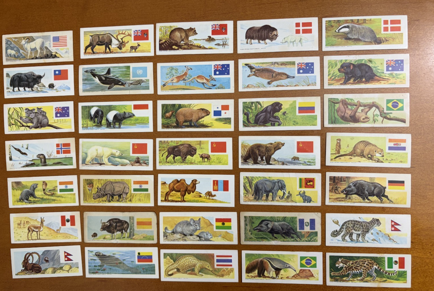 VTG 1965 Welch's Animals & Flags of the World Cards-35 Cards-Nabisco/Sugar Daddy