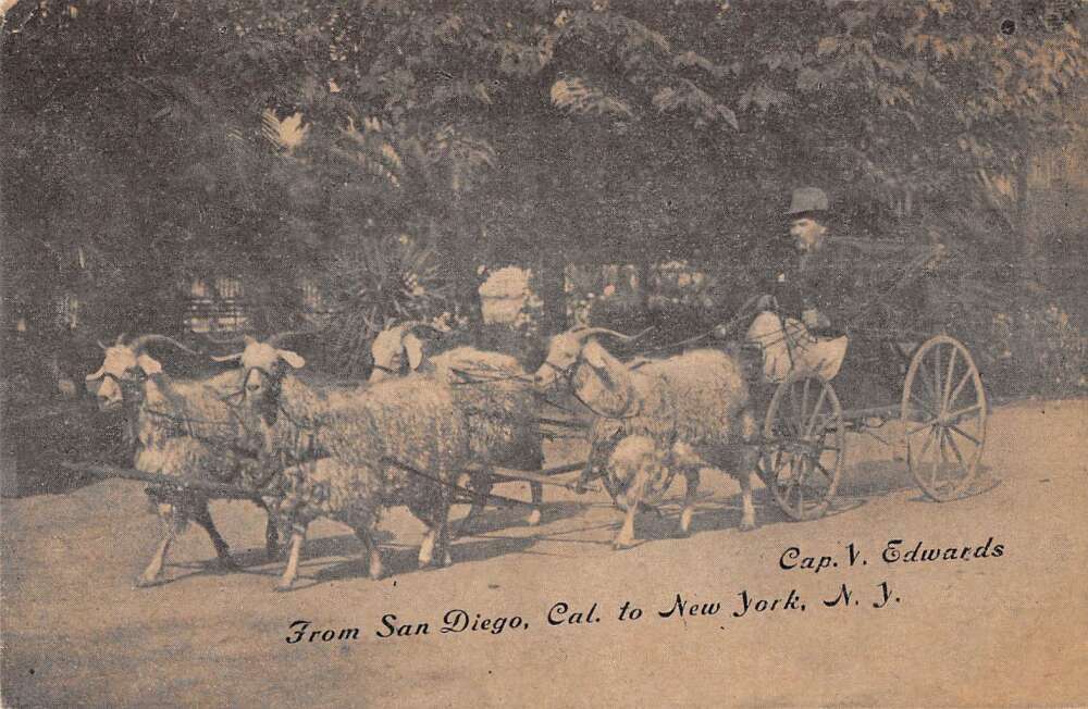 Captain Edwards Cross Country California to New York Goat Wagon PC AA49448
