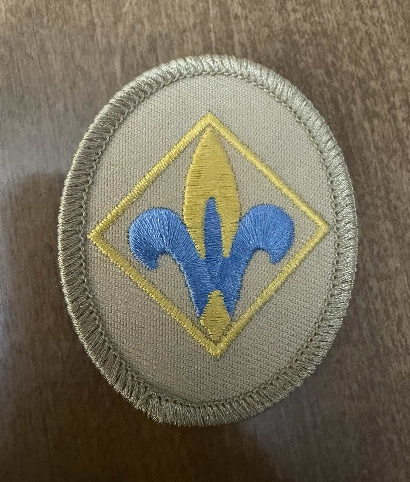 Scouting America BSA Cub Scout Webelos Rank Patch  Boy Scouts Of America NEW