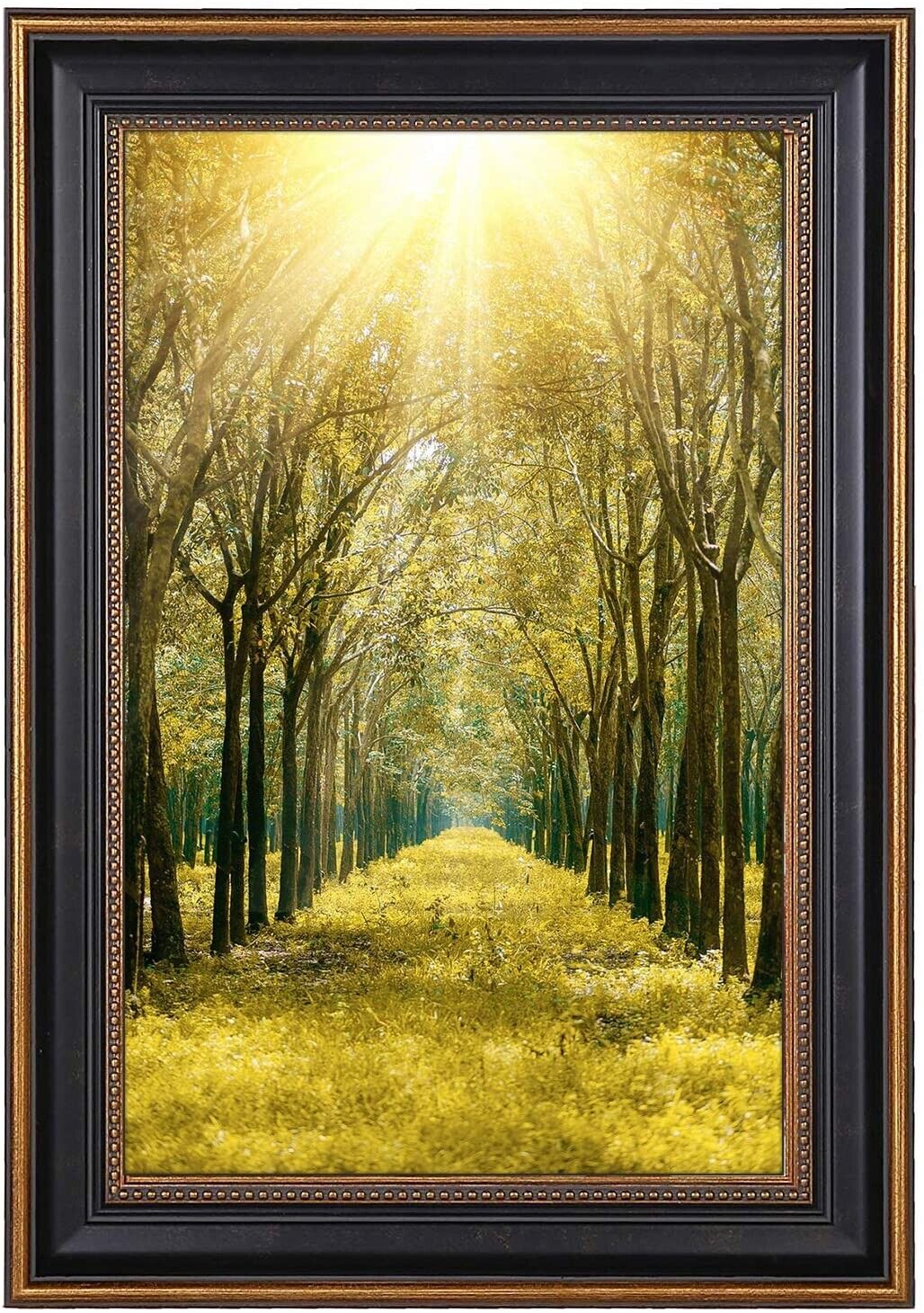 11x17 Poster Picture Frame Great for Landscape/ Portrait Photo Wall Mounting