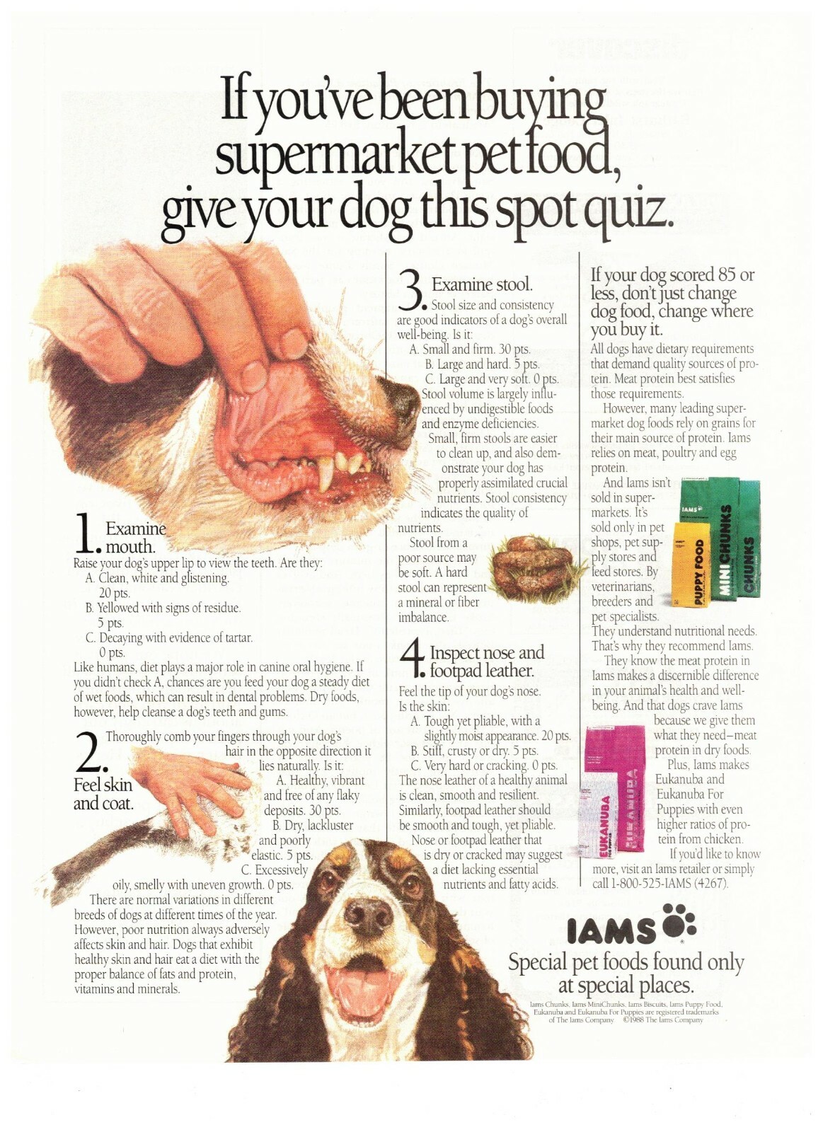 1989 Iams Pet Food Nutrition Dog Healthcare Vintage Print Advertisement