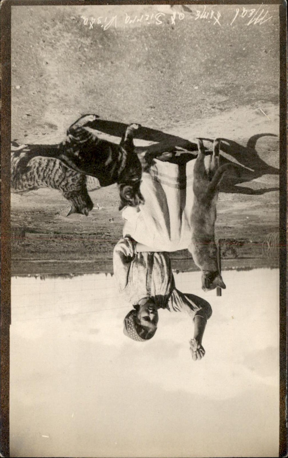 Sierra Vista CA Girl & Cats GREAT AMATEUR IMAGE c1910s Real Photo Postcard bhn