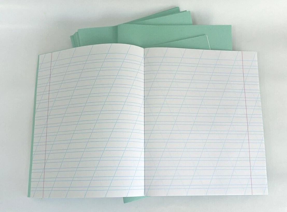 Set 10 pcs Russian Classic School Notebook Tetradka 12 Sh. Narrow Oblique Lines