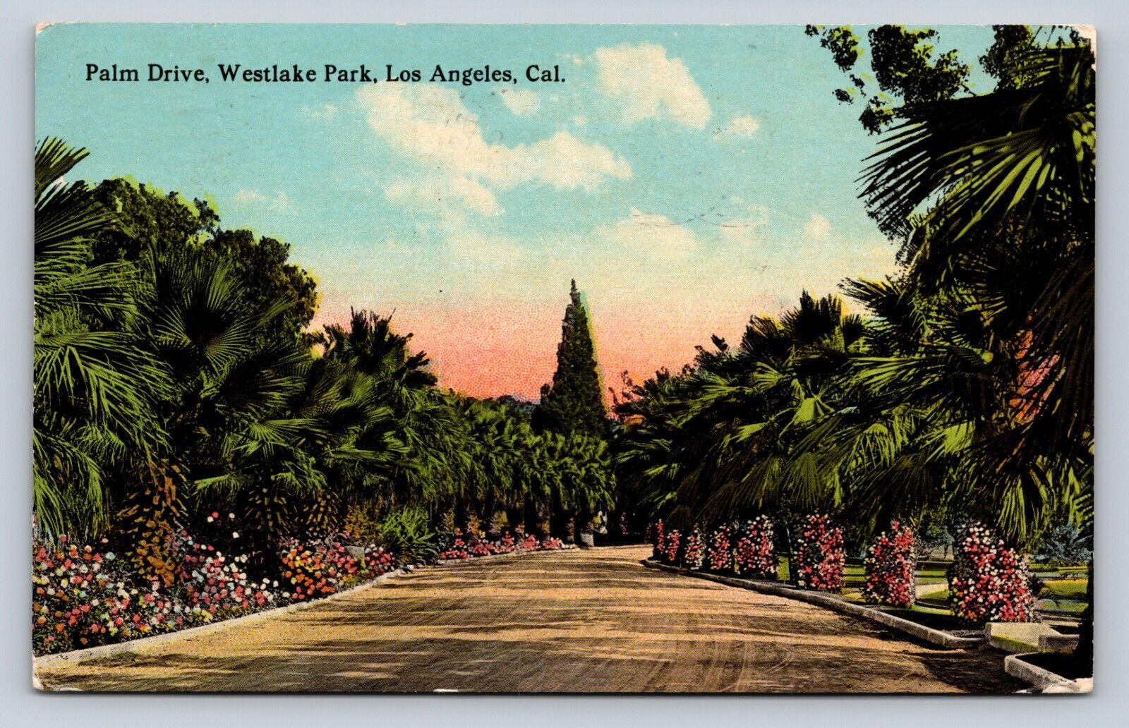c1915 Palm Drive Westlake Park Los Angeles California ANTIQUE Postcard 1236