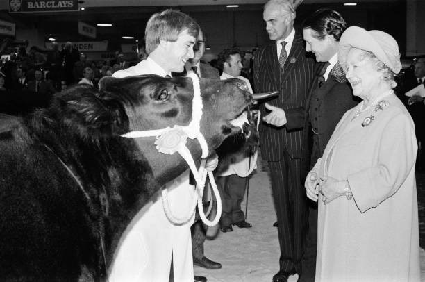 Queen Elizabeth The Queen Mother visits the Royal Smithfield Show - Old Photo 2