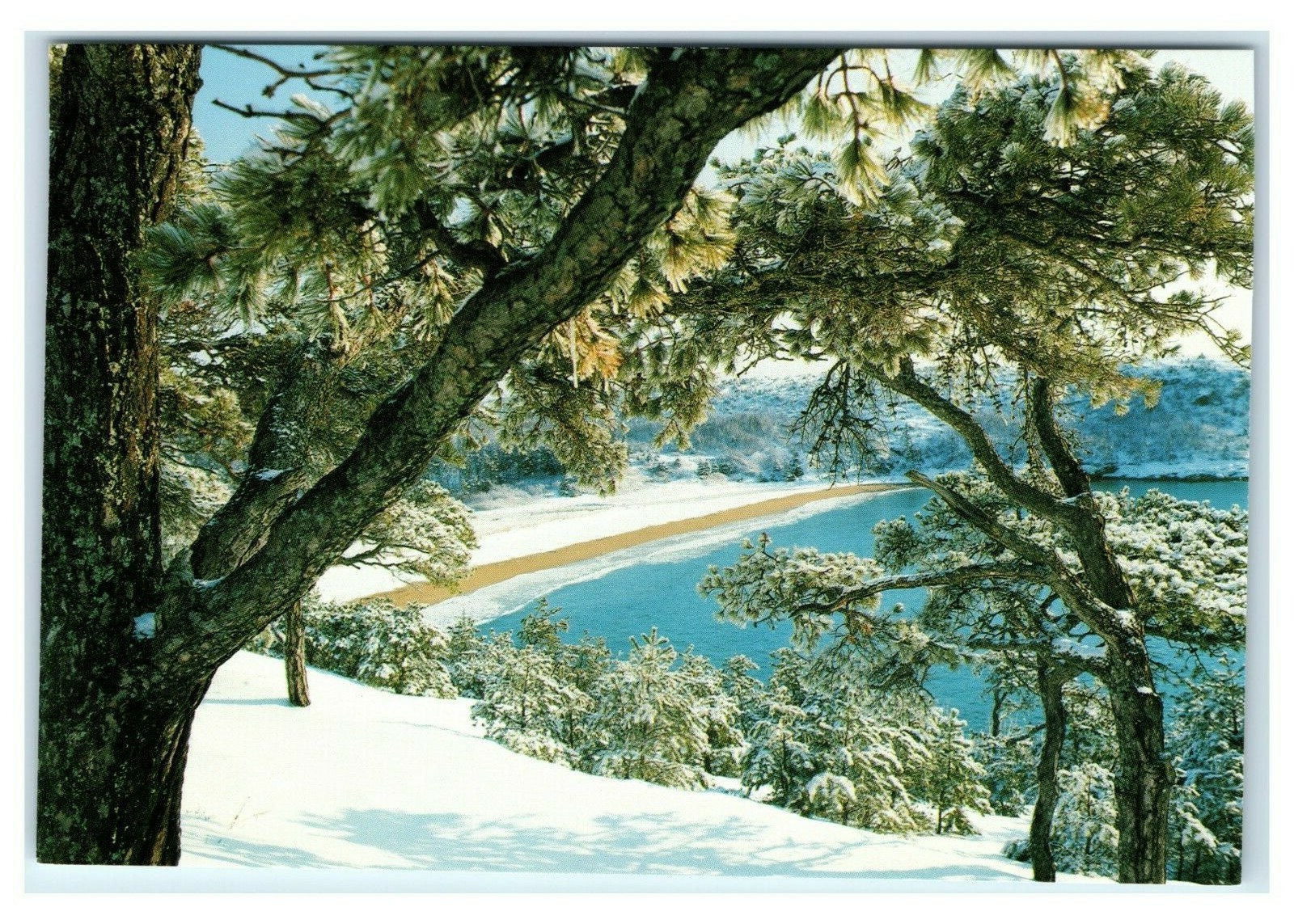 Postcard Sand Beach at Acadia National Park, Maine winter snow w/o trim K9