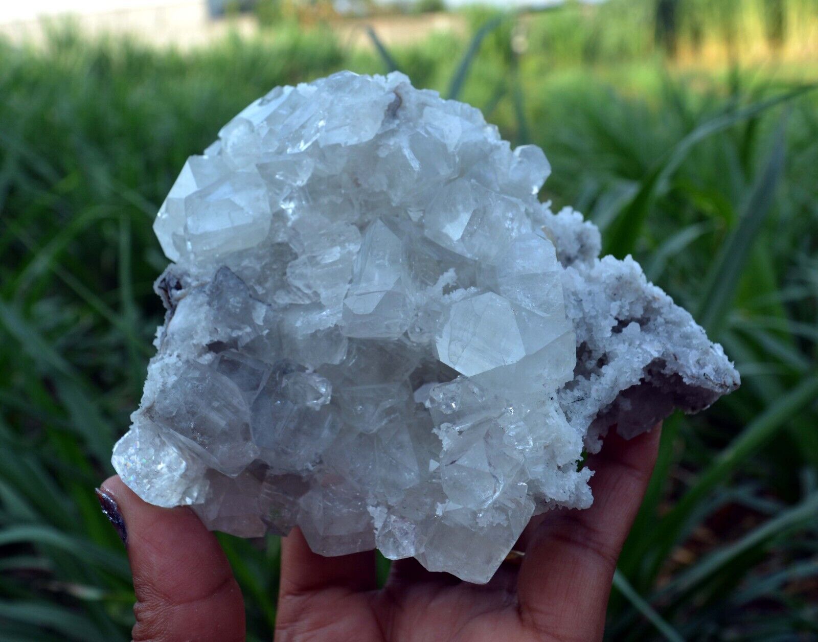APOPHYLLITE Crystals On STILBITE & CHALCEDONY Coral-Matrix Minerals J-6.24