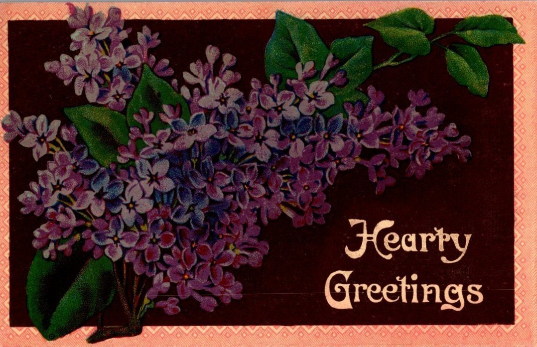 Vintage Victorian Postcard 1911 Hearty Greetings - Lilacs on Brown Card