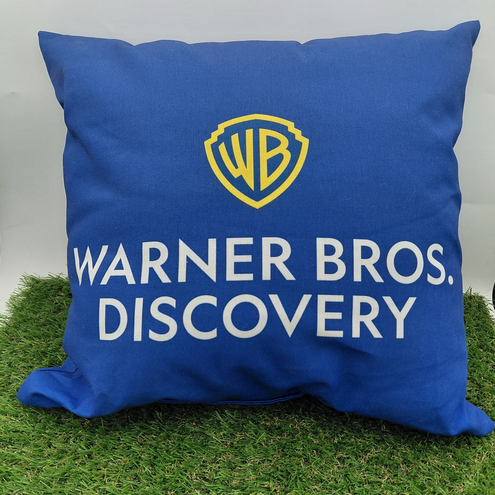  Warner Bros Discovery Pillow