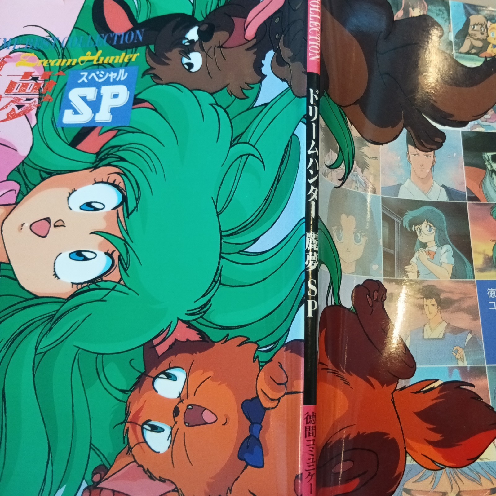 Wow 1990 ANIME Best Collection DREAM HUNTER Rem SP Book Manga Tokuma 80s style✨