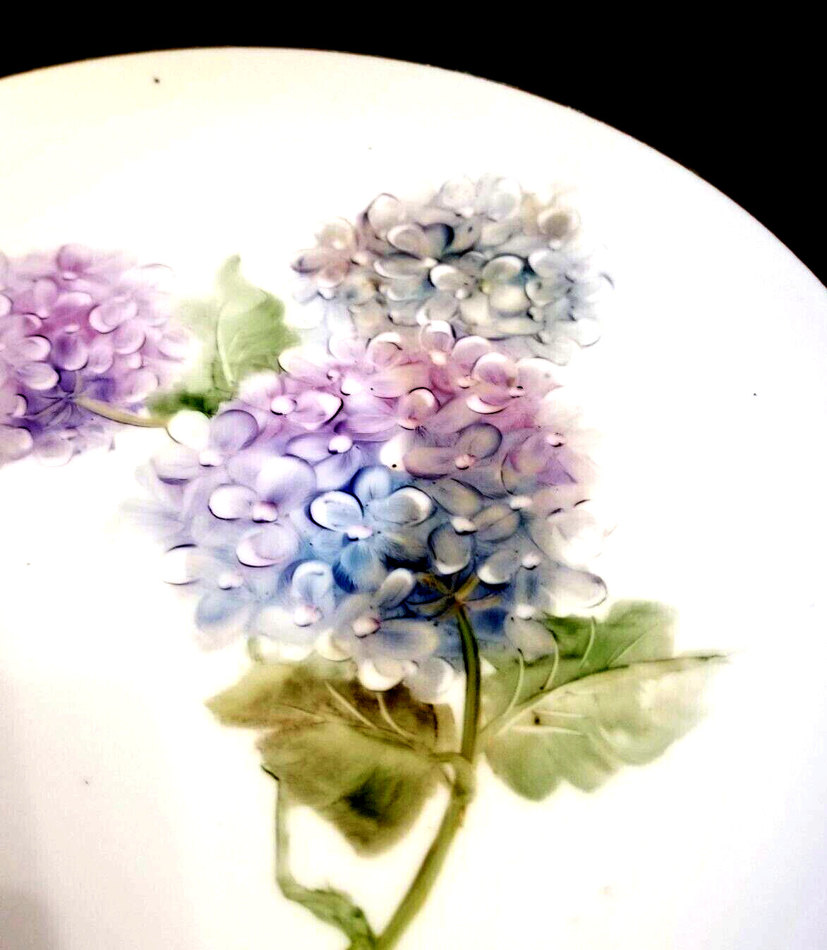 Hydrangea Flower Gold Edge Porcelain Plate Platter 8\