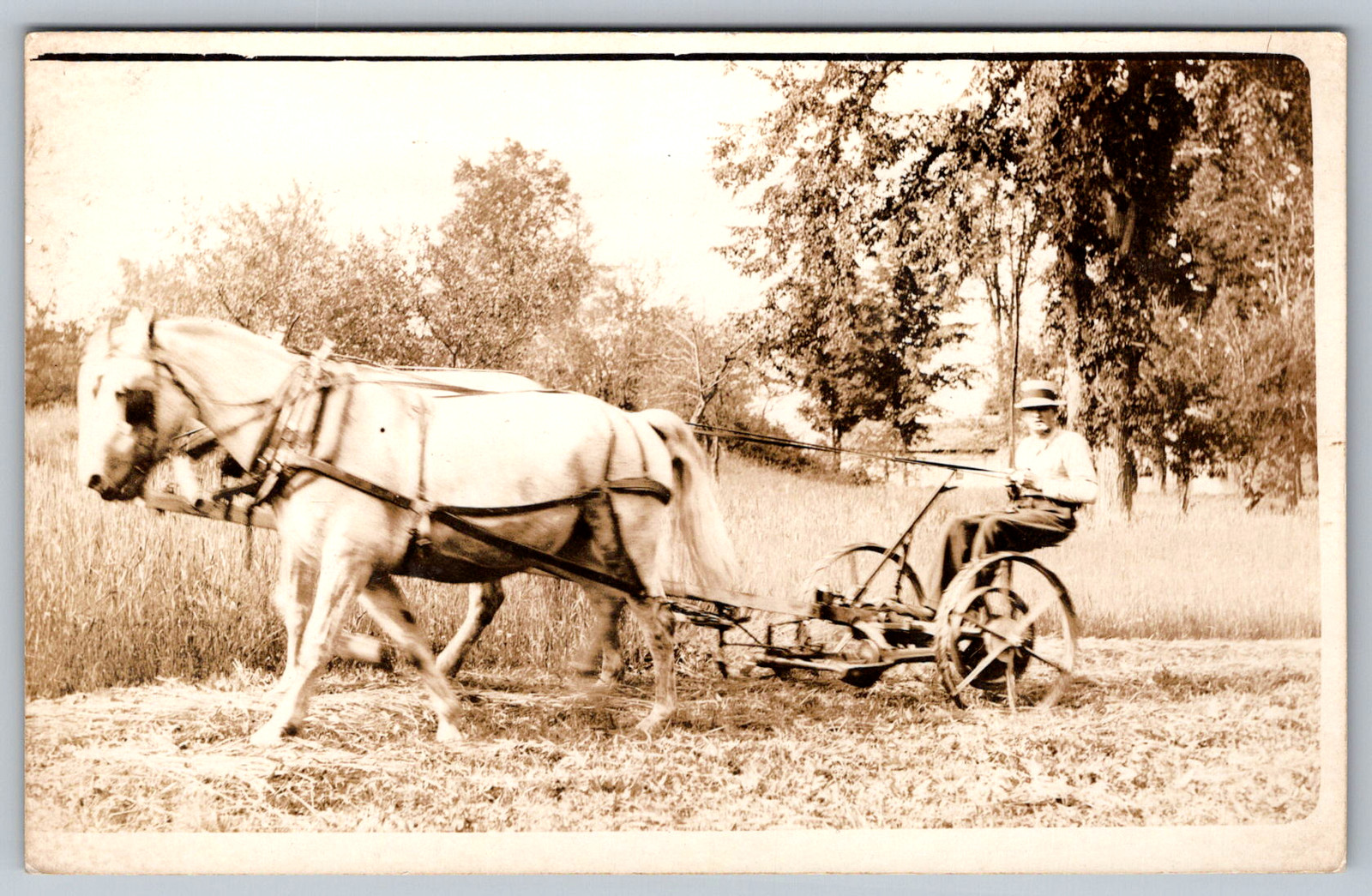 RPPC c1910s Farmer Operating Horse Drawn Mower Sickle Bar Hay Harvest Postcard
