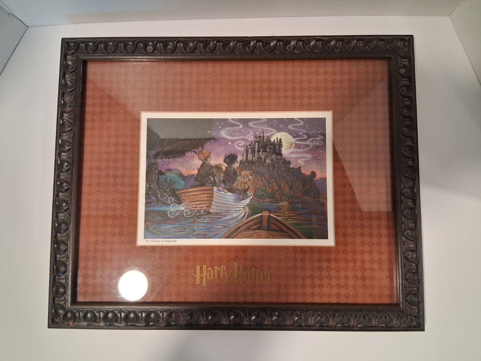 Harry Potter Framed Art Print - \