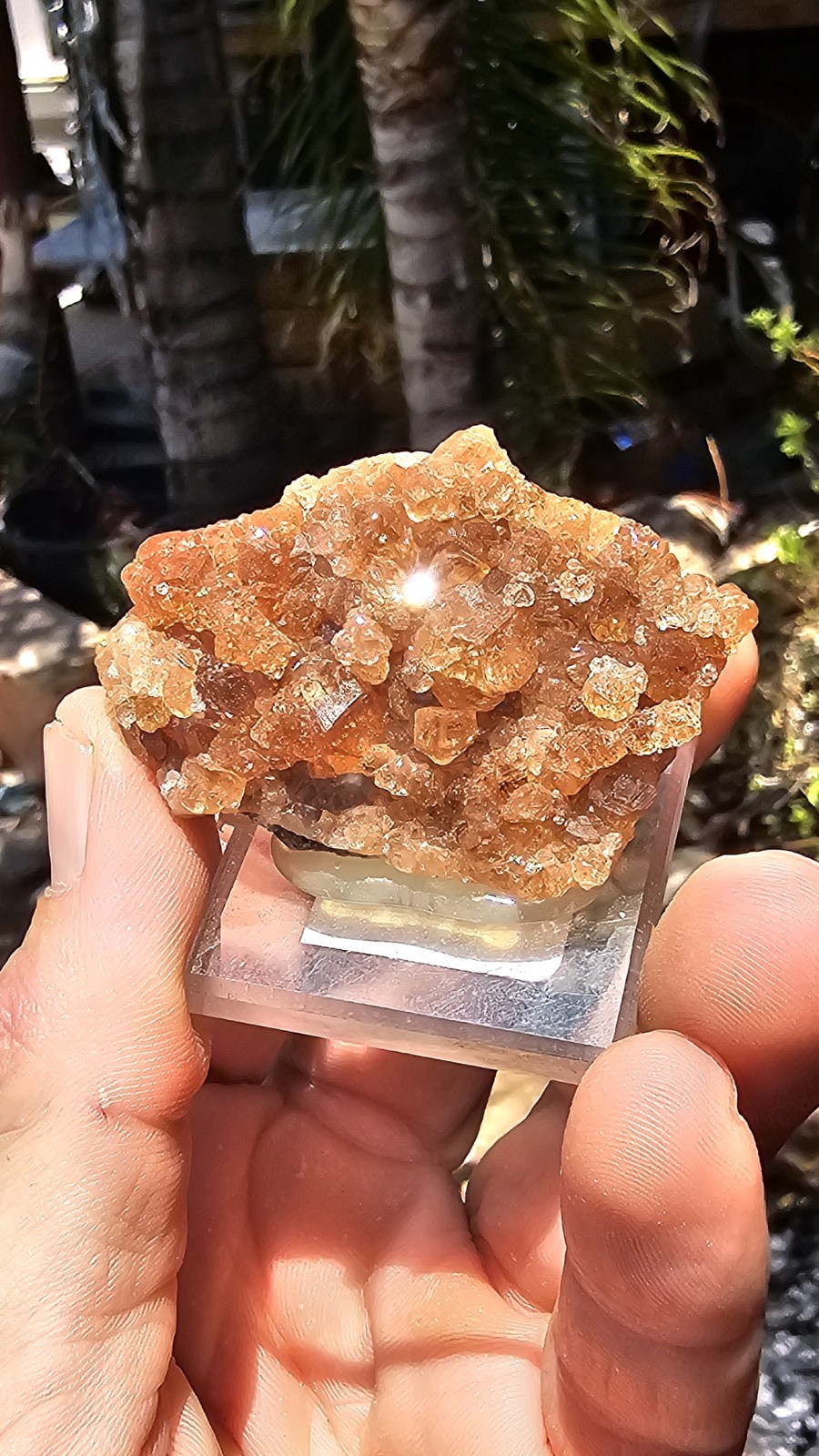 ☆HESSONITE GARNET from the JEFFREY MINE, ESTRIE, QUEBEC☆