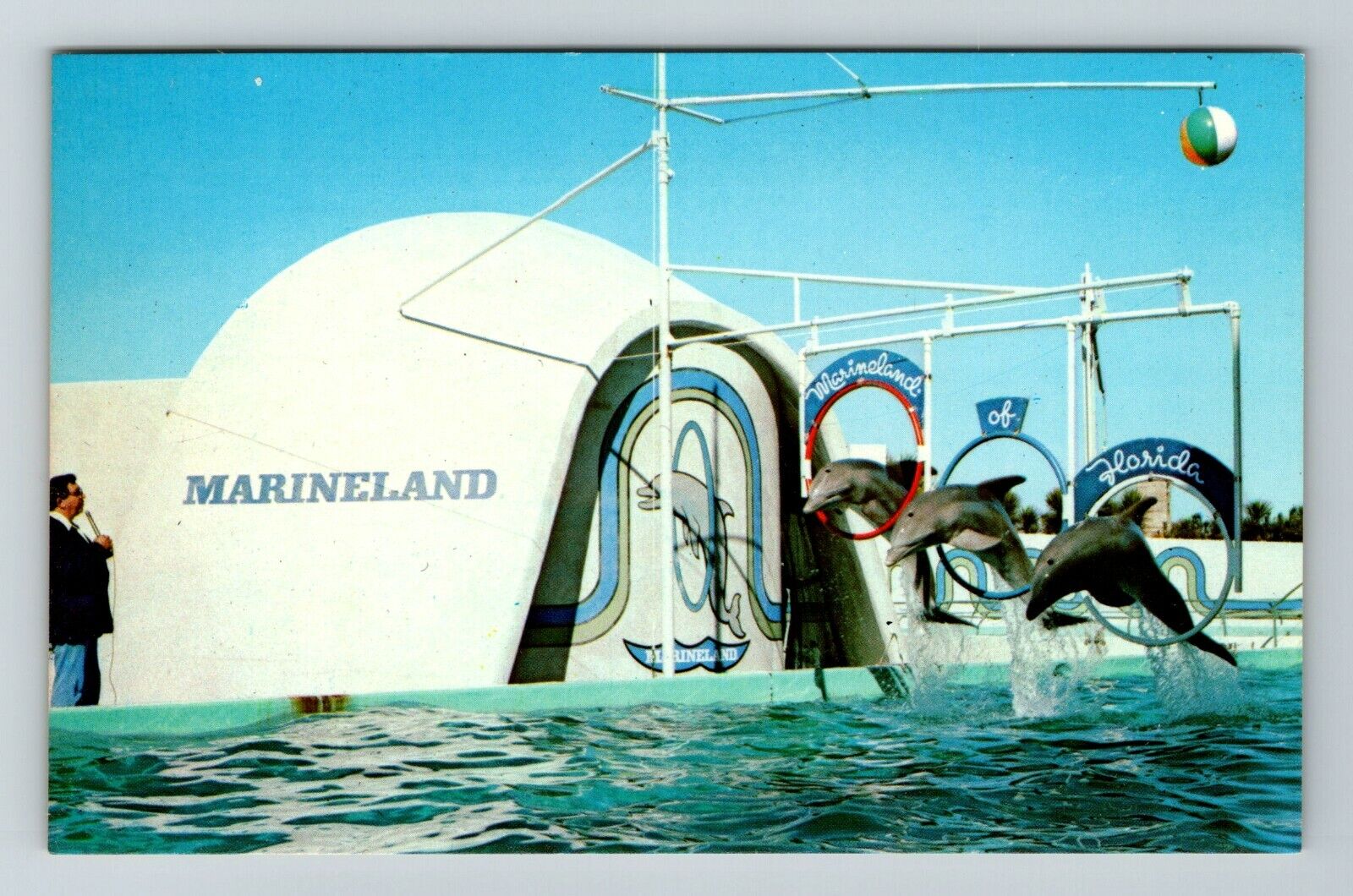 St Augustine FL-Florida, Marineland, Dolphins Jumping, Vintage Postcard