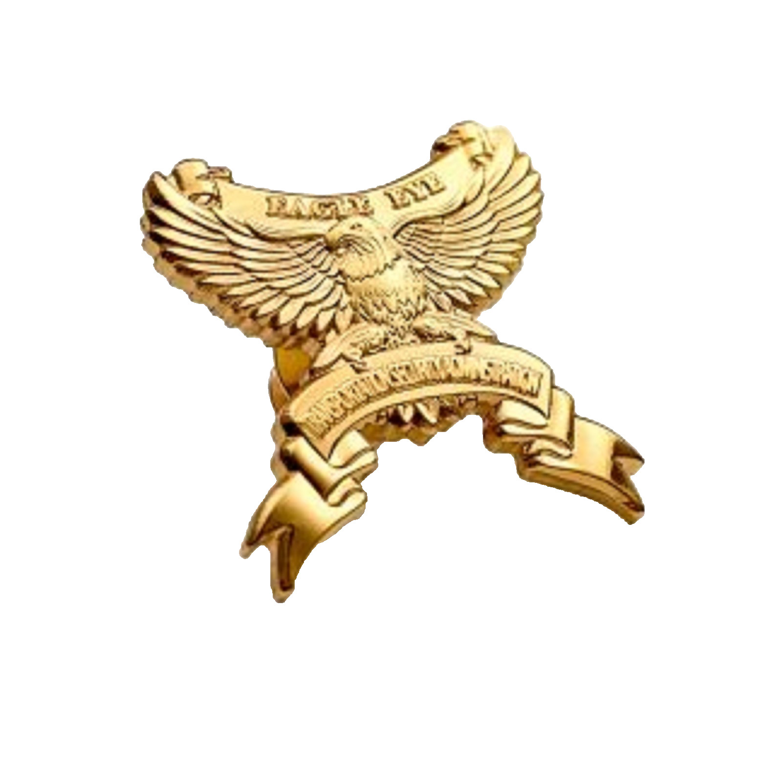 TSA TRANSPORTATION SECURITY ADMINISTRATION EAGLE EYE GOLD LAPEL PIN