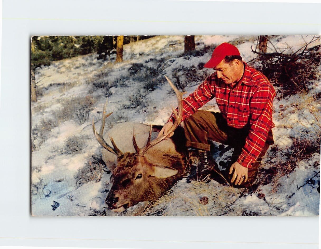 Postcard Deer Hunter & Deer
