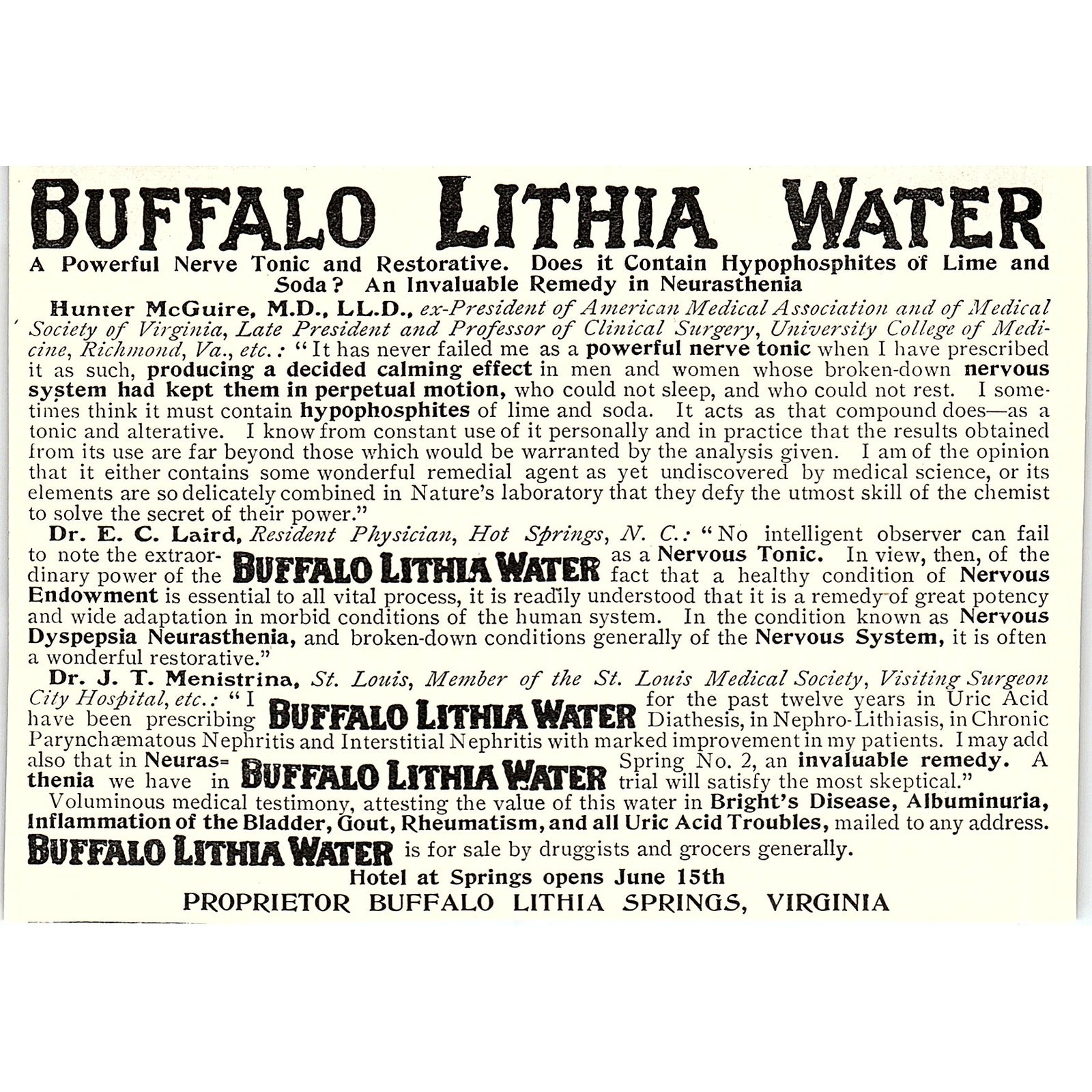 Buffalo Lithia Water Hotel at Buffalo Lithia Springs Virginia 1903 Ad AF8-H2