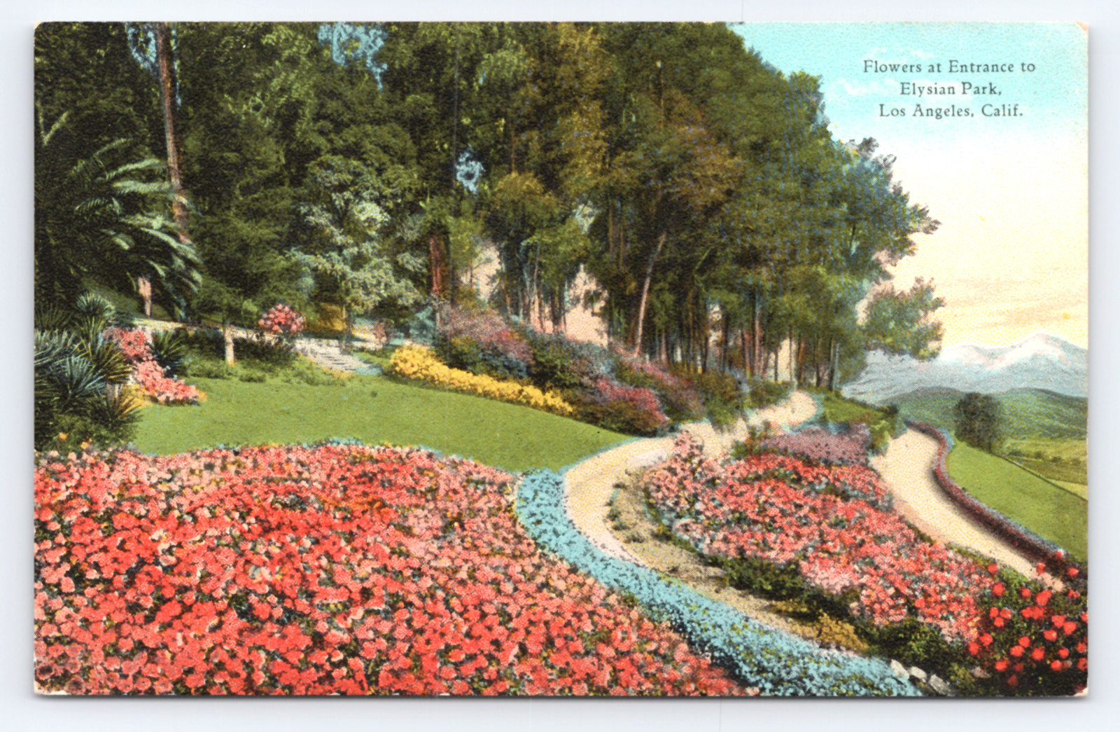 c1910 Flowers Entrance Elysian Park Postcard Los Angeles CA Garden Path