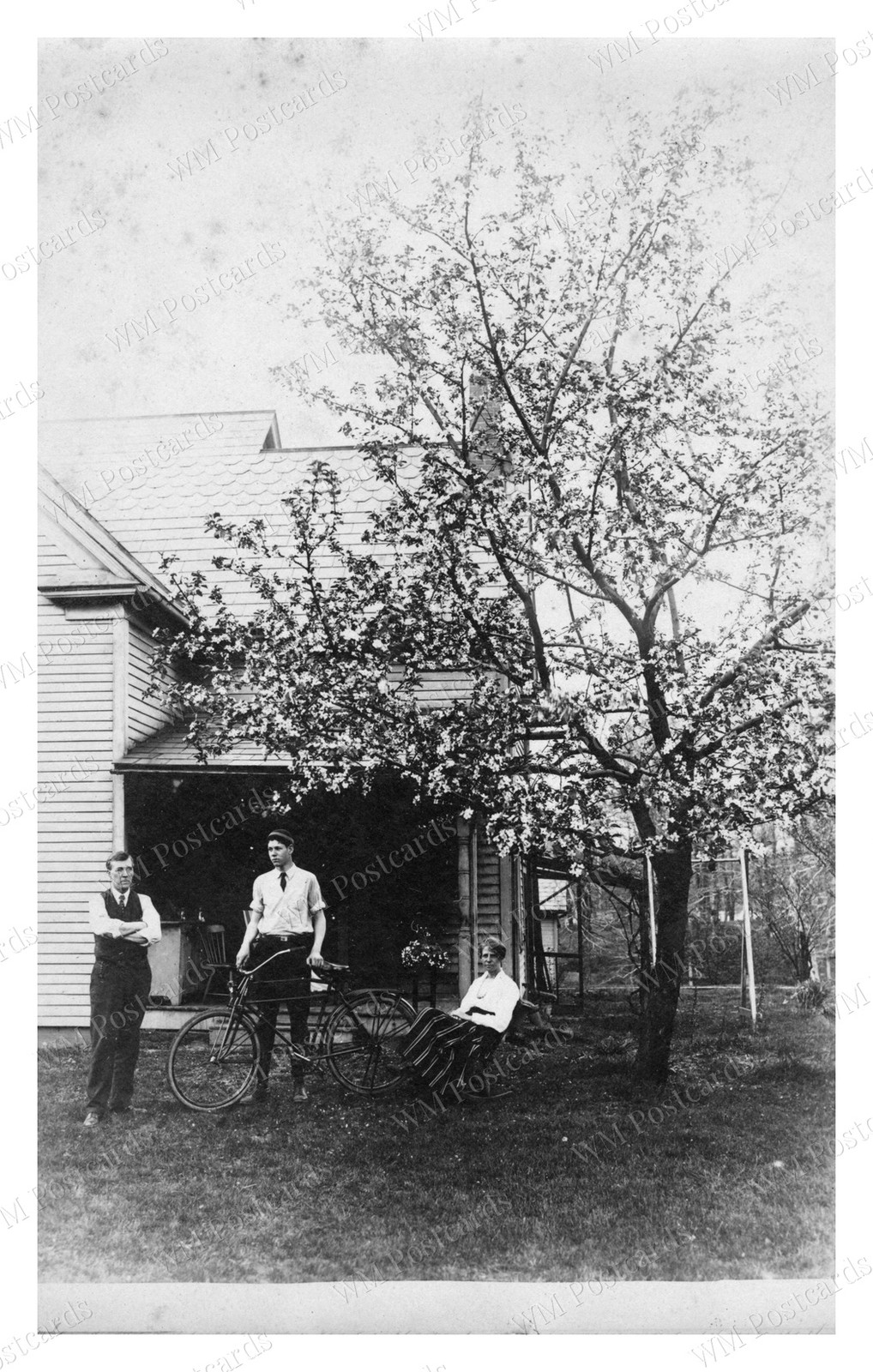 Wilbraham Massachusetts 1920s Ware Family Bicycle Portrait Standard Postcard